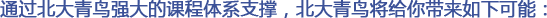 通過(guò)北大青鳥(niǎo)強(qiáng)大的課程體系支撐，北大青鳥(niǎo)將給你帶來(lái)如下可能：