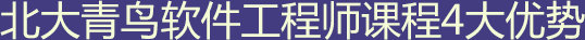 北大青鳥(niǎo)軟件工程師課程4大優(yōu)勢(shì)