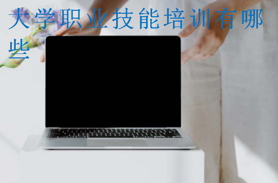 大學(xué)職業(yè)技能培訓(xùn)有哪些