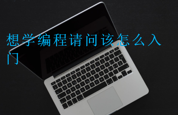 想學(xué)編程請問該怎么入門