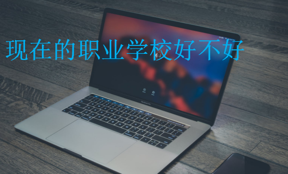 現(xiàn)在的職業(yè)學(xué)校好不好