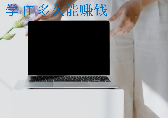 學(xué)IT多久能賺錢(qián)