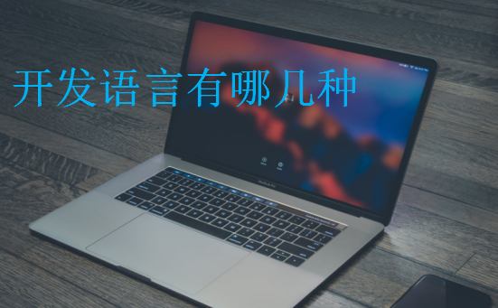 開(kāi)發(fā)語(yǔ)言有哪幾種