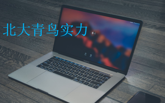 北大青鳥實力