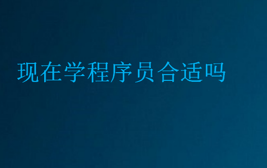 現(xiàn)在學(xué)程序員合適嗎