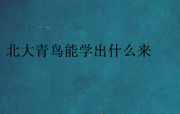 北大青鳥能學出什么來