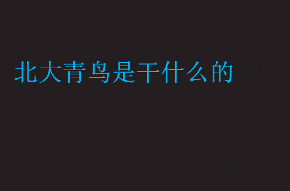 北大青鳥是干什么的