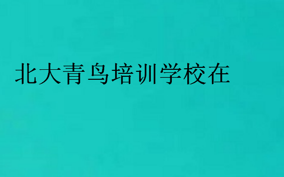 北大青鳥培訓(xùn)學(xué)校在