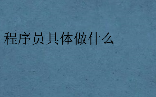 程序員具體做什么