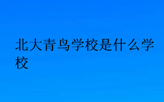 北大青鳥學校是什么學校