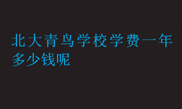北大青鳥學校學費一年多少錢呢
