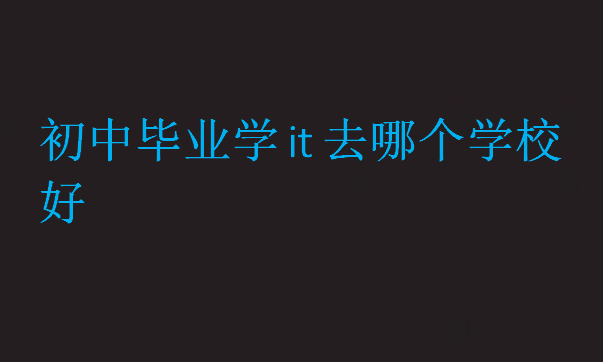 初中畢業(yè)學(xué)it去哪個(gè)學(xué)校好