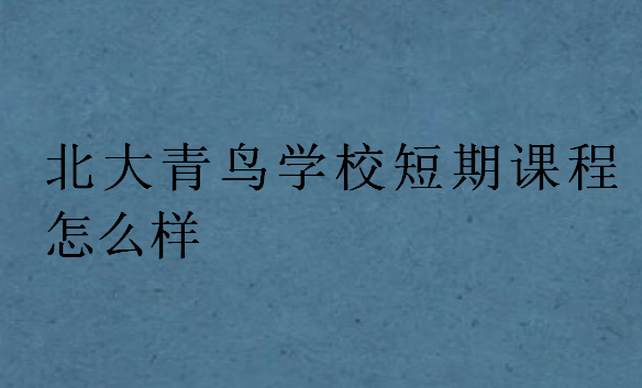 北大青鳥學(xué)校短期課程怎么樣