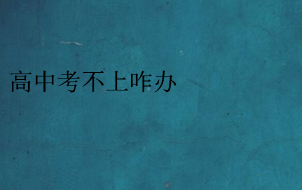 高中考不上咋辦