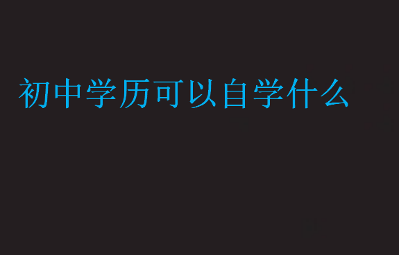 初中學歷可以自學什么