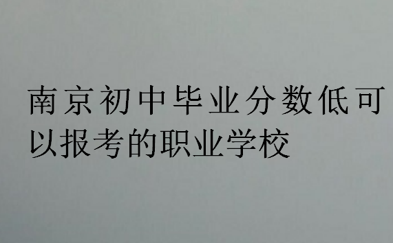 南京初中畢業(yè)分數低可以報考的職業(yè)學校