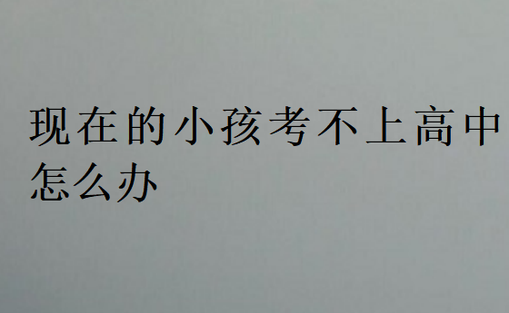 現(xiàn)在的小孩考不上高中怎么辦