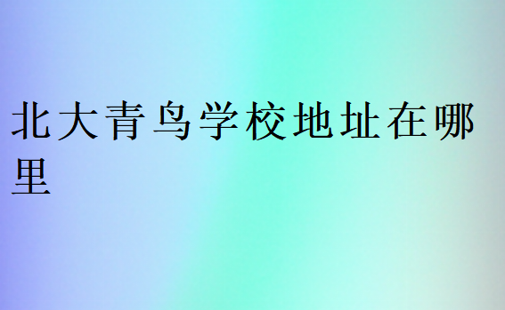 北大青鳥學校地址在哪里