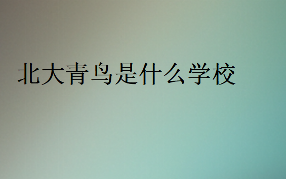 北大青鳥是什么學校