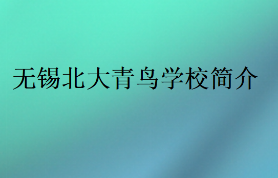 無錫北大青鳥學(xué)校簡介