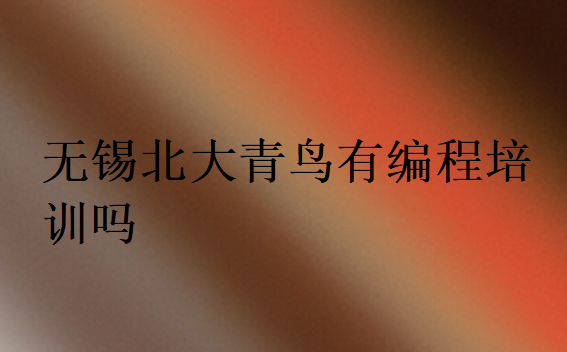 無錫北大青鳥有編程培訓嗎