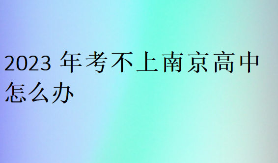 2023年考不上南京高中怎么辦
