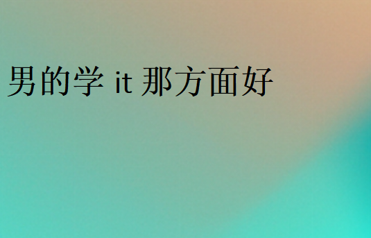 男的學it那方面好