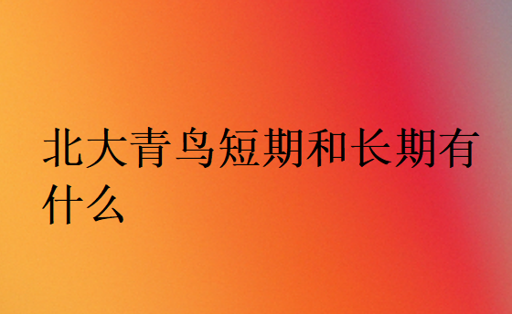 北大青鳥(niǎo)短期和長(zhǎng)期有什么